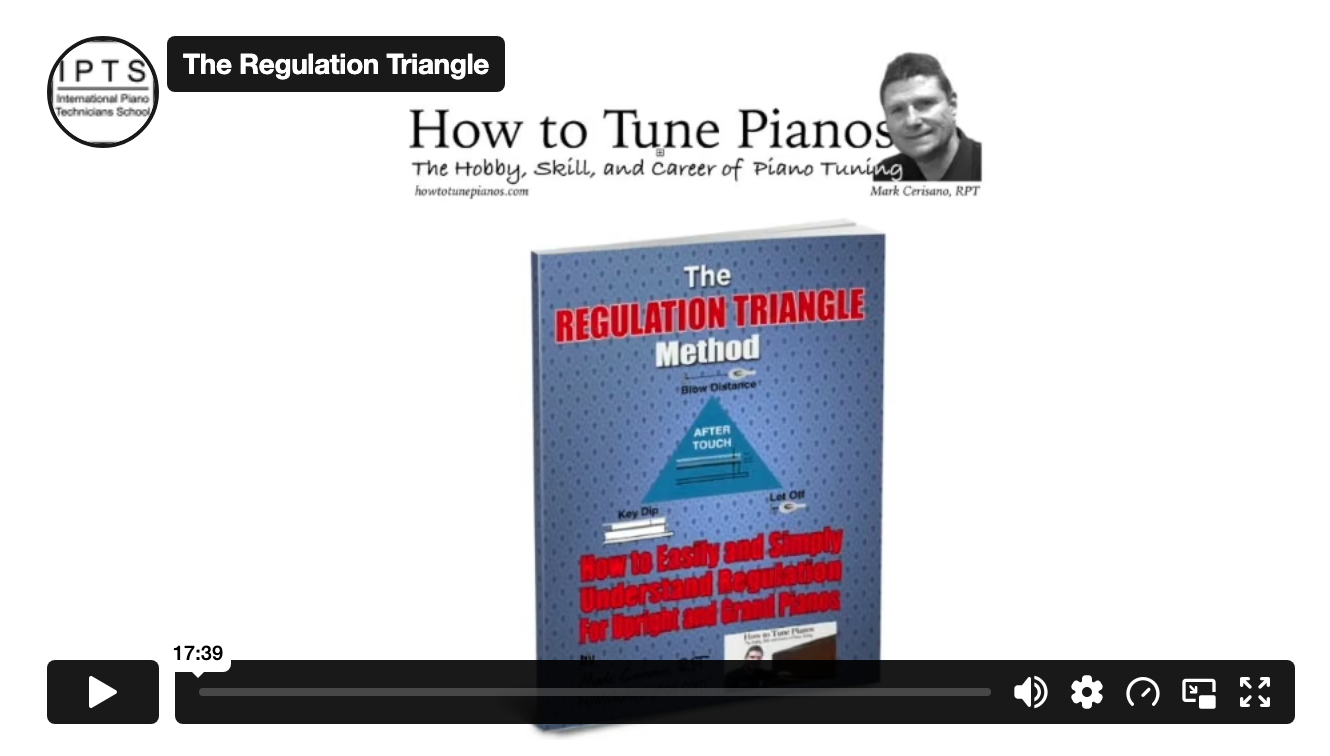 Regulation Triangle Video Image